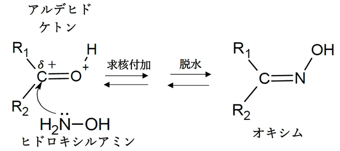 エロキシムのリーフレット